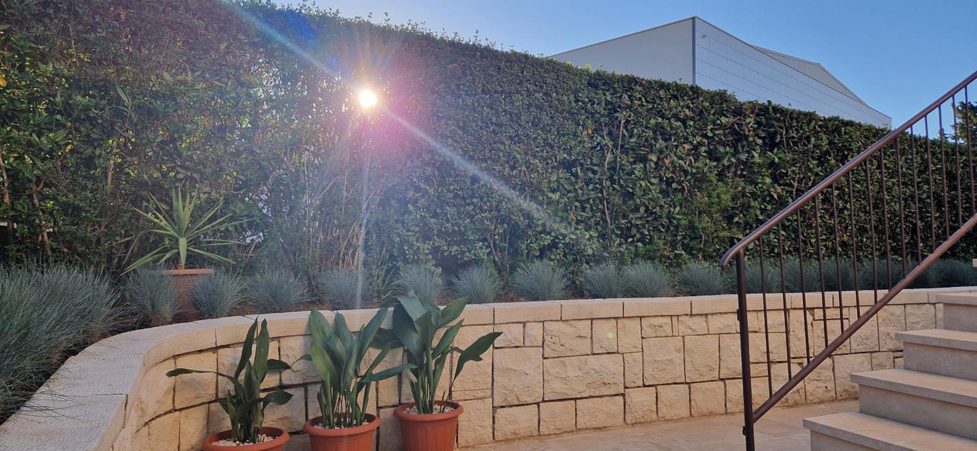 מלון סופטאר Palute מראה חיצוני תמונה